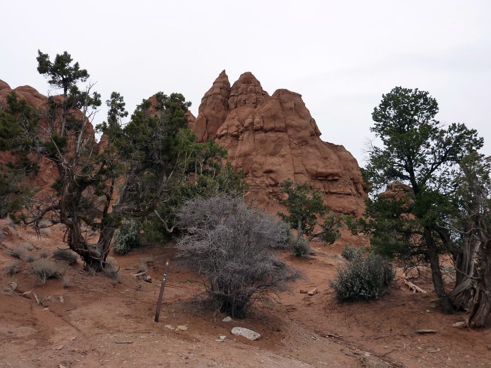 kodachrome basin (11).JPG